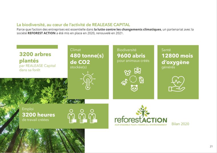 Rapport RSE 2020 — chapitre environnemental, même système graphique